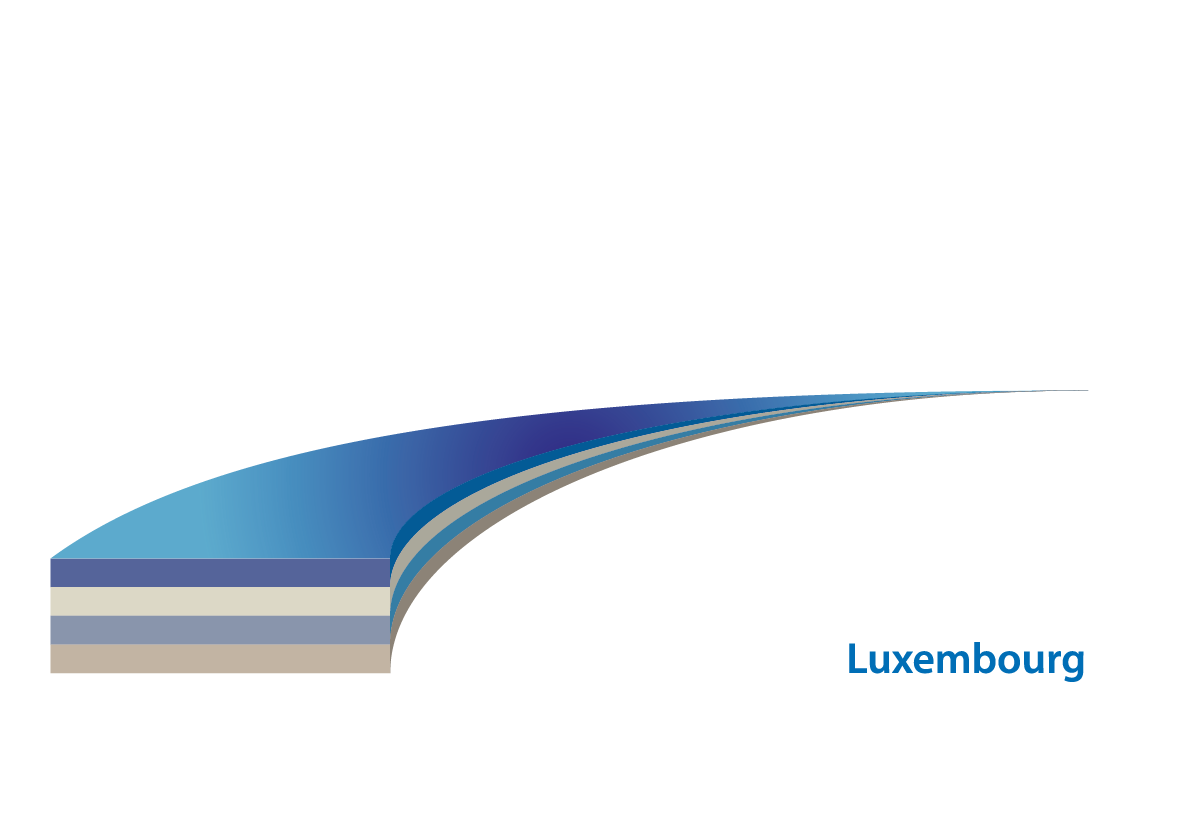Logo Blanc WF